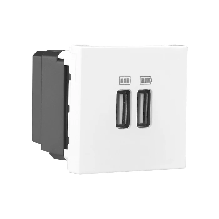 USB CHARGER 3000mA (A+A) 2M ALLZY - LEGRAND