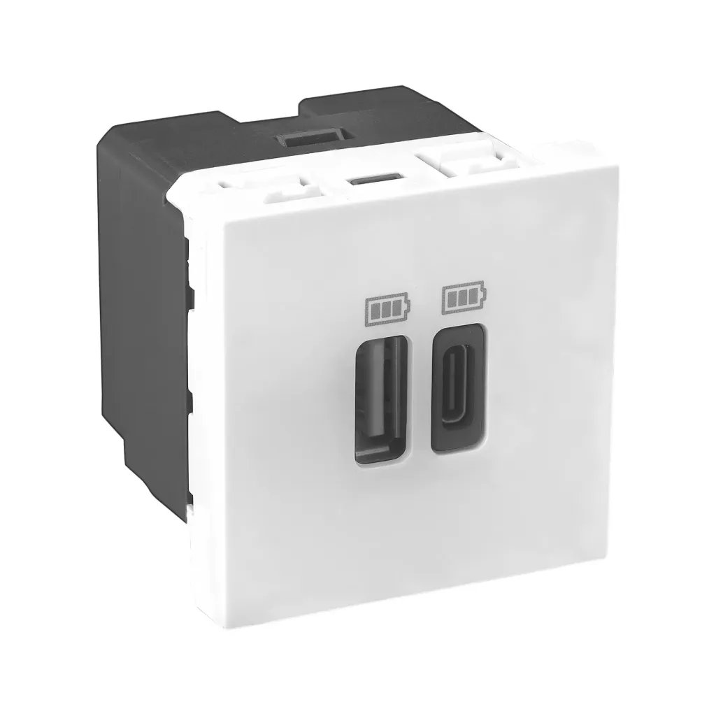 USB CHARGER 3000mA (A+C) 2M ALLZY - LEGRAND